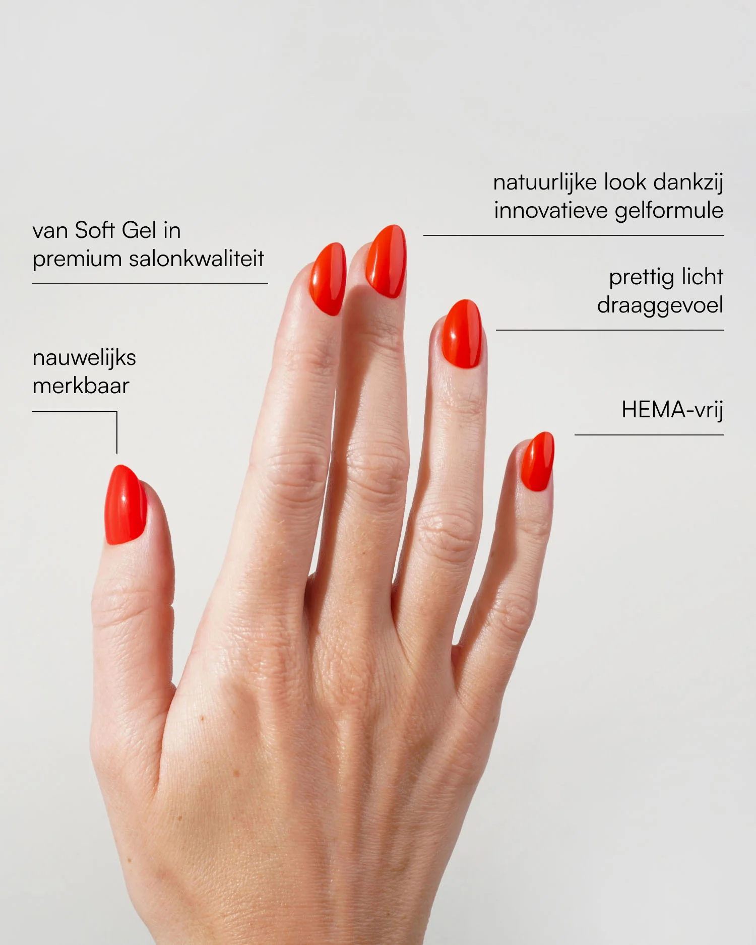Productafbeelding 3